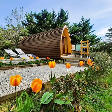 Belloreade Bed and Breakfast