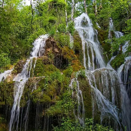 Belloréade Alojamento de Acomodação e Pequeno-almoço