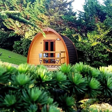 Bed & Breakfast Belloreade 3*